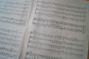 Du bist´s dem Ruhm und Ehre… (Haydn)