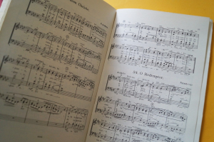 Florilegium Cantuum Sacrorum Band 52 Motetten