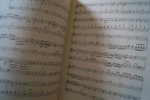 Flores de Musica (Coelho)