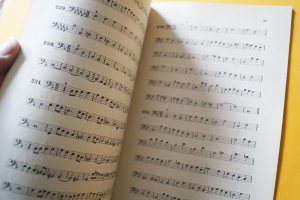 250 Esercizi (Pedron)