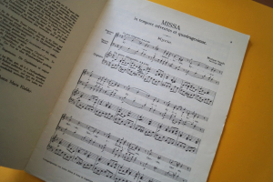 Missa in D Moll (Haydn)