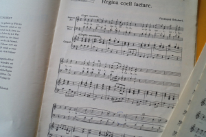 Regina coeli laetare in C (Schubert)