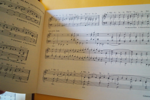 Halleluja-Buch mit Orgelbeilage