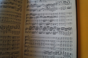 Samson Oratorium mit Textbuch (Händel)