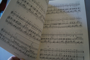 Melodie der Welt Schlager-Favoriten Heft 157 Notenheft