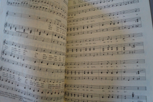 Vom 11.11. bis Aschermittwoch Heft 27 Notenheft