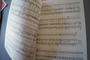 Musik-Box Heft 314 Notenheft