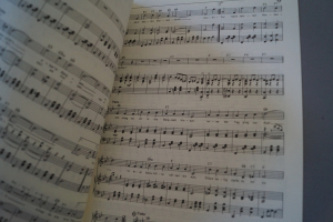 Oldies Standards Evergreens Heft 1 Notenheft