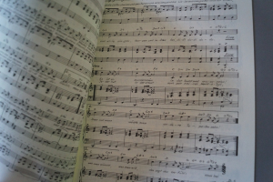 Oldies Standards Evergreens Heft 12 Notenheft