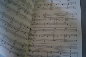 Oldies Standards Evergreens Heft 15 Notenheft