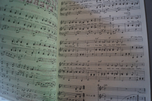 Oldies Standards Evergreens Heft 19 plus Beiheft C-Stimme Notenheft