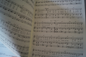 Oldies Standards Evergreens Heft 20 plus Beiheft C-Stimme Notenheft