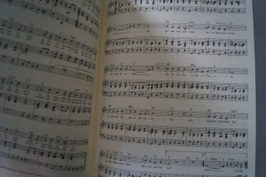 Oldies Standards Evergreens Heft 22 plus Beiheft C-Stimme Notenheft