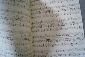 Oldies Standards Evergreens Heft 24 plus Beiheft C-Stimme Notenheft