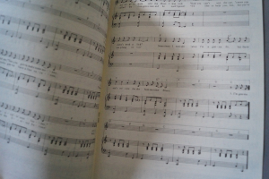 Oldies Standards Evergreens Heft 25 plus Beiheft C-Stimme Notenheft