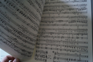 Oldies Standards Evergreens Heft 26 Notenheft