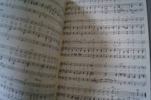 Oldies Standards Evergreens Heft 27 plus Beiheft C-Stimme Notenheft