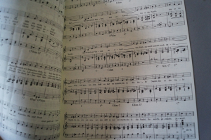 Oldies Standards Evergreens Heft 37 Notenheft