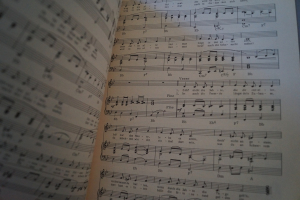 Gerig Sonder-Serie Neue Willy Schneider-Lieder Notenheft