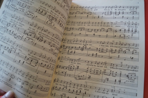 Beliebte Stimmungs-Schlager Notenheft