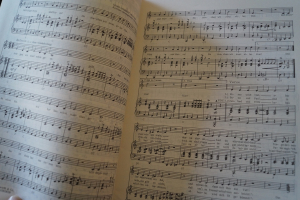 Die große Stimmungsbox Notenheft