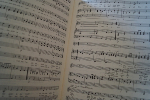 Wir singen in fröhlicher Runde Heft 2 Notenheft