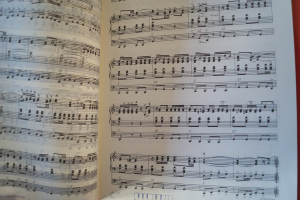 Tango Faszination (für elektronische Orgel) Notenheft