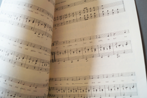 Vom 11.11. bis Aschermittwoch Heft 32 Notenheft