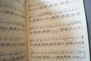 Schlager-Trümpfe für die Jugend Notenheft