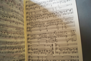 Beliebte Evergreens für Klavier Heft 1 Notenheft