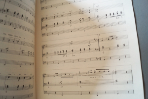 12 Bestseller für Orgel Heft 1 Notenheft