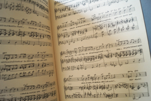 LDZ Schlager des Monats Heft 293 Notenheft