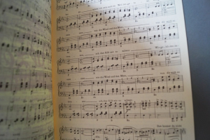 Lustiger Sang beim Walzerklang Notenheft