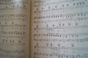 Budget Books: Jazz Standards Songbook Notenbuch Piano Vocal Guitar PVG