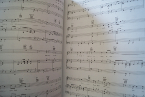 The Big Book of Wedding Music (2nd Edition) Songbook Notenbuch Piano Vocal Guitar PVG