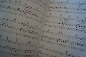 100 of the Best Show Tunes ever Songbook Notenbuch Piano Vocal Guitar PVG