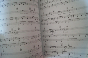 Pop Standards Songbook Notenbuch Piano Vocal Guitar PVG