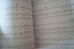 Pop Standards Songbook Notenbuch Piano Vocal Guitar PVG