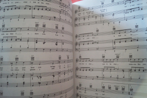 The Big Book of Movie Music Songbook Notenbuch Piano Vocal Guitar PVG