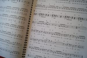 Sing mit Rock Pop Oldies Schlager (mit Karaoke-CD)Songbook Vocal Guitar