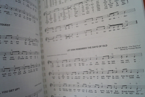 The Folksong Fake Book Songbook Notenbuch Vocal Guitar