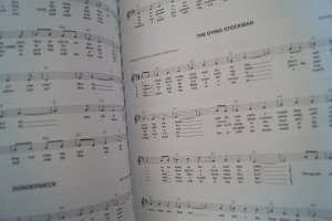 The Folksong Fake Book Songbook Notenbuch Vocal Guitar