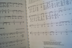 The Folksong Fake Book Songbook Notenbuch Vocal Guitar