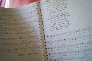 Der Hüttenmusikant Songbook Notenbuch Vocal Guitar