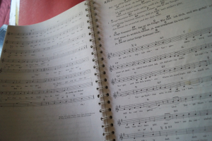 Der Hüttenmusikant Songbook Notenbuch Vocal Guitar