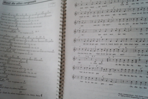 Hit auf Hit Songbook Notenbuch Vocal Guitar