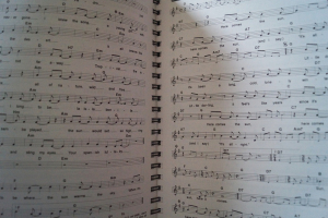 Schlager Express Songbook Notenbuch Vocal Guitar