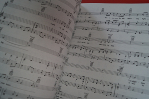 Ultimate Rock n Roll Showstoppers Songbook Notenbuch Piano Vocal Guitar PVG