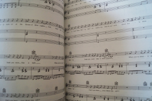 Ultimate Rock n Roll Showstoppers Songbook Notenbuch Piano Vocal Guitar PVG