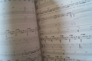 Modern Guitar Anthems: Red Book Songbook Notenbuch Vocal Guitar